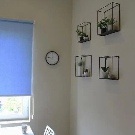 2v1 - Myslym Shyri * Tirana