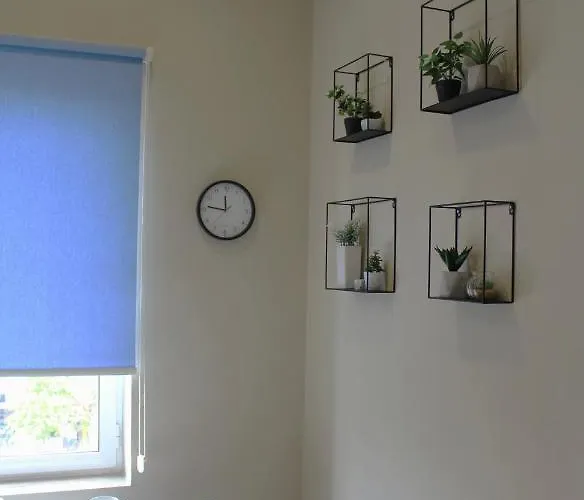 2v1 - Myslym Shyri * טיראנה